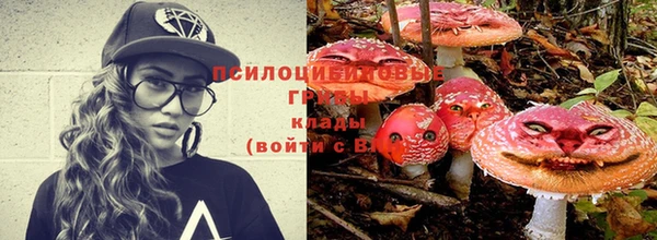 ALPHA-PVP Осинники